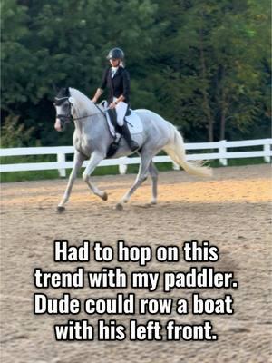 Paddling does not caus#e long term soundness issues and I’ll d!3 on that hill. He’s perfectly imperfect though💙 #horsetok #grey #gelding #trend #trending #conformation #flawed #eauestrian #equestrianproblems #amateur #adultamateur #ottb #thoroughbred #canter #rhythm #funny #humor #eventer #dressage #hunter #jumper #pretty #handsome #horseshow #antares #ariat #fits #catago 