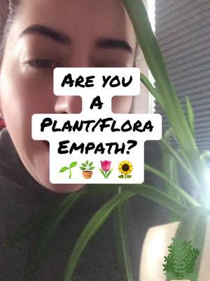 Plant Empaths #plantsoftiktok #plantempath #empaths #empath #highlyempathic #clairsentient #clairsentientclaircognizant #empathsbelike #psychic #psychicthoughts #highlysensitiveperson #plantmom #plantlover #fyp 