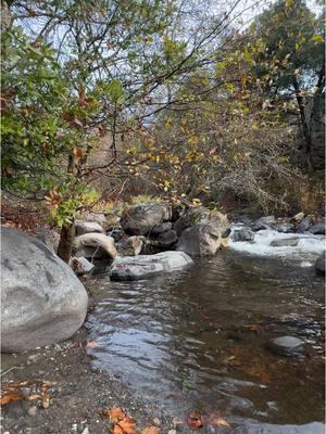 Una caminata cerca del río Kaweah. Sequoia National Park, California.  Kaweah River.  Place to visit. #viajando_ala_naturaleza #viajesnaturaleza1 #sequoianationalpark #kaweahriver #placetovisit #caminata #naturaleza 