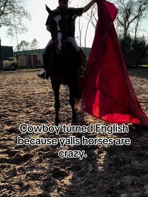 Reminder to move your horse’s legs while desensitizing! If they are frozen they are still scared. Genesis sure is doing well with her training! Gotta love a brave horse! #hunterjumper #showjumping #showjumper #westphalian #englishrid #horsetraining #horsetrainer #horse #horses #younghorse #coltstarting #equine #midastouch 