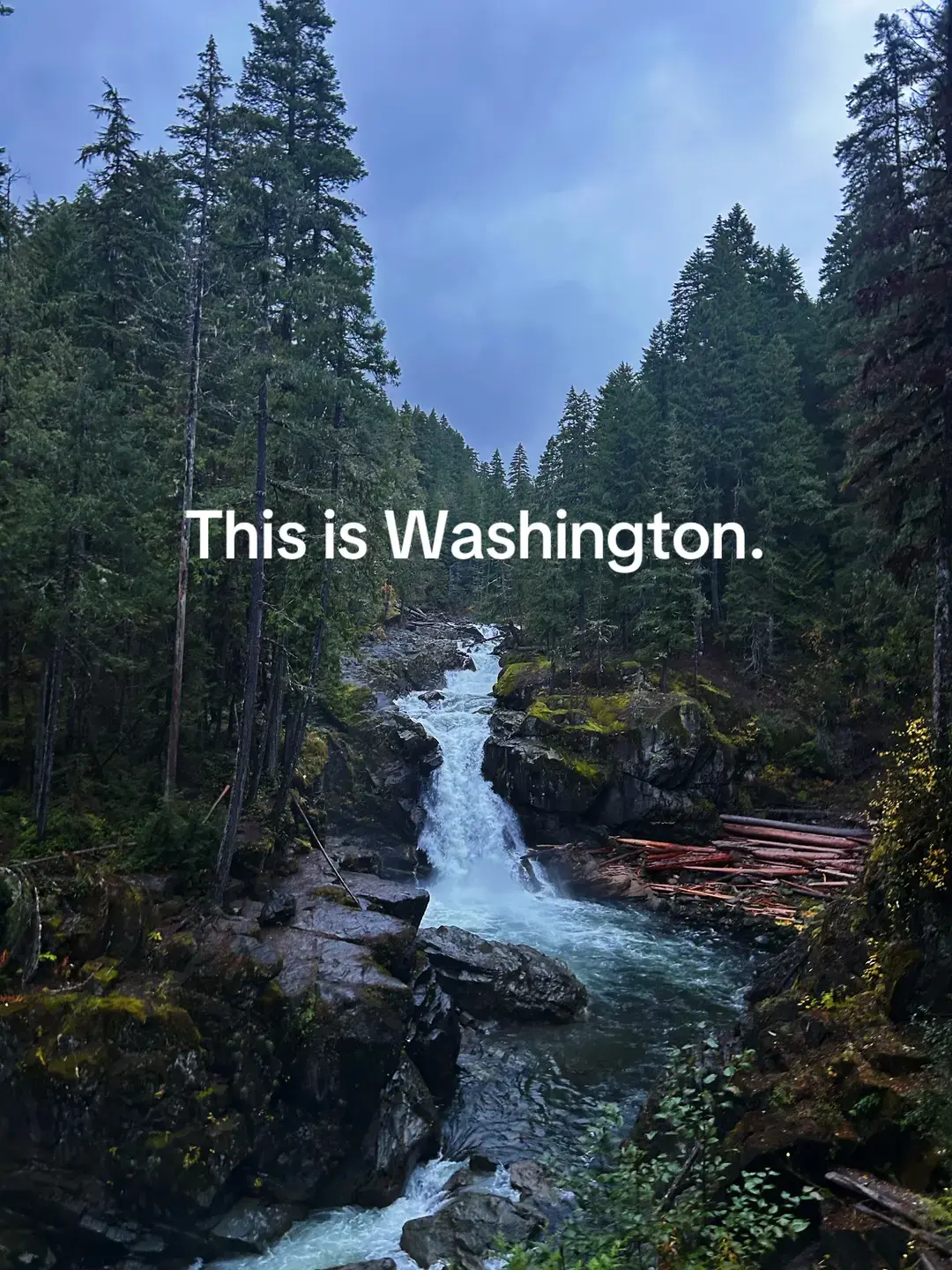 Fall in Washington is something to add to your bucket list!  #trend #washington #fall #mtrainiernationalpark #explore #adventure #travel #bucketlist #seattlewashington #vacation #traveltok 