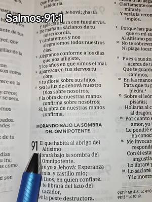 Salmos.91:1...el que habita al habrigo del altisimo morara bajo la sombra del omnipotente dire yo a Jehova esperanza mia y Castillo mio mi Dios en quien confiare....... . . . . . . #salmos91.1#textos #textosbiblicos #biblia #paratiiiiiiiiiiiiiiiiiiiiiiiiiiiiiii #estadosunidos🇺🇸 #❤️❤️❤️ #hijadedios #princesadeDios 