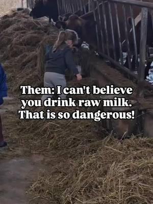 If you consume store bought produce you are taking more of a risk of getting sick than you are from consuming raw milk. You want to make sure you properly source it from a farm that is clean and has good practices!! For more info head to my website getholistic.org/rawmilk #rawmilk #rawdairy #holistichealth #holisticwellness #nutrientdense #foodismedicine #realfood  #creatorsearchinsights 