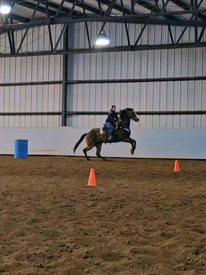 Some rides are like that 🤣 A whole lotta go and zero patience 🤣🤦🏼‍♀️ #hothorse #funnyhorse #horsetok #barrelhorse #rockinghorse #naughtyhorse #sassymare #sassyhorse #baymare #futurebarrelhorse #horsesontiktok #horses #spicymare 