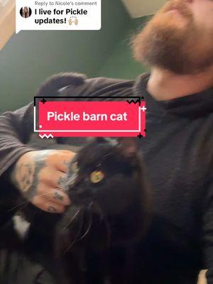 Replying to @Nicole #cat #kittens #catdistributionsystem #picklebarncat #pickle #farm #problems #newcatwhodis #blacksmith #bladesmith 