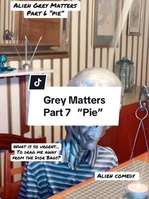 Grey Matters “Pie” part 7  #pie #aliens #greymatters #diorbags #drone #njdrones 