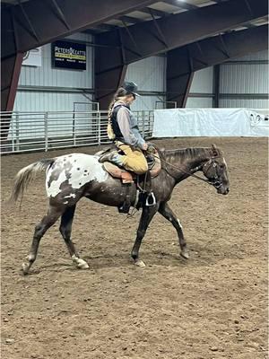 The best things in life - Family, good friends, good horses, and dogs❤️👌🏽 #fy #horses #diabolical #ridenight #horses #passion #appaloosa #Seven #2yrold 