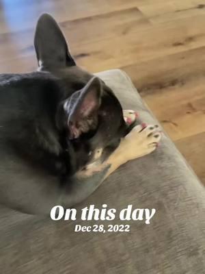 #onthisday #ticklish #toebeans 