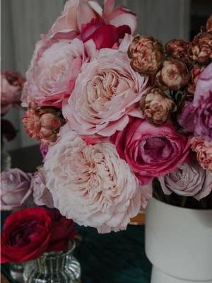 In these photos, you'll find  Romantic Antique, Miyabi, Eugenie, and Bejeweled bouquets, each showcasing timeless elegance and beauty. 🌹 @gracerosefarm  #Gardenrose#rose#gracerosefarm#ugccontentcreator#garden#roses#arrangement#rosebouquet#InBloom#StopAndSmellTheRoses#FloralInspo 