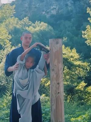 Shaolin Kung-fu #kungfu #shaolin #shaolinkungfu #shaolinmonk #chinesekungfu #fyp #tiktoklongs #views #training #technique #skills #master #foryoupage #fyp 