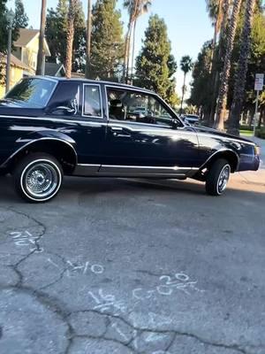 WEEKEND CRUISING @parqueros__engraving @parqueros_car_@parkside_kennels__ @parqueros__cc_inlandempire @chris66caprice @classicwayscarclub #carclub#buenapark#orangecounty #classiccars #bombs #impala64 #chevrolet #parquero #carclub #comingup #parklife #classiccarsdaily #carshow #lowridershit #62impala #65impala  #61impala #66caprice #classiclife #hydraulicsystem #badassbitch #lowlow #lowridingisnotacrime #lowridersupershow #juicedup #impalalife #orange #county #daytons #whitewalls #engra