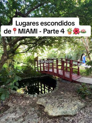 Lugares escondidos de📍Miami parte 4 - miami places to go  📍Miami beach botanical center - ea un lugar pequeño pero muy lindo  #creatorsearchinsights #miamiplacestogo #miami #miamibeachbotanicalgarden #lugaresescondidos #miamitravel #miamitravelguide #thingstodoinmiami #miamithingstodo 