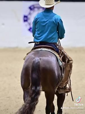 What a year 2024 was for Laubscher Performance Horses!     #laubscherperformancehorses #NRCHA #TEAMLPH 