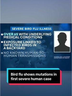 A person in Louisiana has contracted the nation's first severe case of bird flu after the virus mutated inside their body, allowing it to more easily infect their upper respiratory system. #birdflu #health #louisiana #pandemic #healthtok #news 