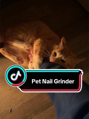 Este michi peligroso tiene sus uñas set con su Pet Nail Grinder ve y ordena uno para tus mascotas 🐈🐕#PetNailGrinder #petnail #TikTokShop 