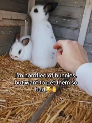 I was brutally attacked by a rabbit as a child according to my dad… but they’re so cute😍#bunnies #petrabbit #animals #cutebunnies #bunniesoftiktok #bunniesontiktok #farmtok #exposuretherapy 