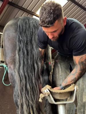 #farrier #farriersoftiktok #hoof #hoofcare #hoofcleaning #hooftrim #hooftriming #tiktok #viralvideo #fyp #foryoupage #hoofpicking #viral 