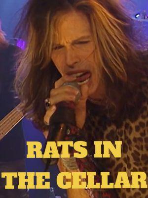 The bad boys from Boston perform "Rats in the Cellar," from 1997, recorded by 2 meter sessions #steventyler #aerosmith #joeperry #livemusic #rockgods 