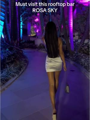 Best rooftop bar in Miami🤩 You must visit it😍 #miami #miamilife #brunette #hair #miamiblogger #2025 #travel #traveltiktok #rooftop #bar #florida #rosasky #rosaskyrooftop #night 