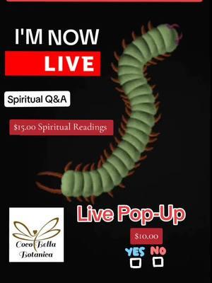 #Tiktoklive #SpiritualTok #Relationship #Marriage #Q &A #Spirituality #TarotReading #SpiritualReading #Empowerment #Divination #Hoodoo #IFA #Vodun #FuckAroundFindOut #SayItAgain #AncestralReading #IntuitiveReading #SpiritualGuidance #PopUp 