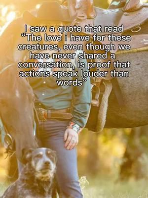 Couldn’t have made it without them❤️ #fyp#rocketdonkey#barrelhorse#blueheeler#blueroan#hancockhorses#cowdogs#barrelracing#barrelracingtiktok#barrelbrtty#barrelraced#Love#TrueLove#animalsoftiktok#dogsoftiktok#myloves#trending#CapCut  