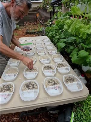 Don't throw these out! Grow Food! #reducereuserecycle #gardening #diyproject