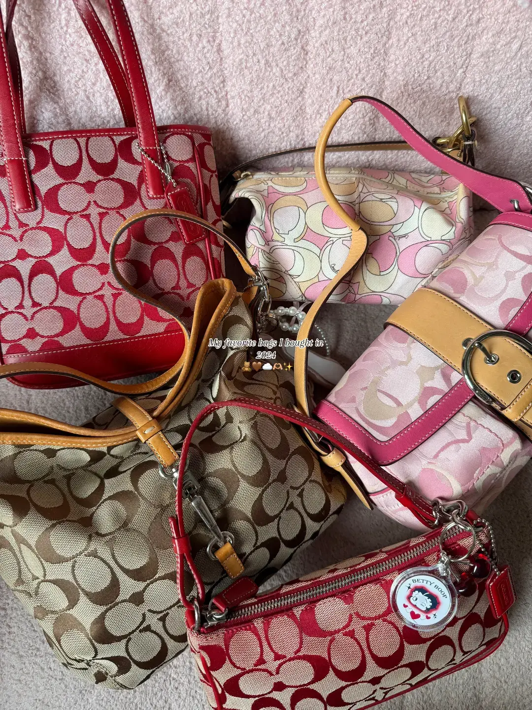 Me  🤝🏼 bags #bags #y2kaesthetic #coach #coachny #dooneyandbourke #minibags #coachdemibag #shoulderbag #pinkaesthetic #favbags #pursetok #packmybag #vintagecoach #bagtok #bagcollection #bettyboop #pursecollection #designerbags #2024favorites #coachminitote #favoriteitems #bagcollection 