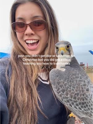 experience gifts>> #christmasgifts #hawktraining #coolexperiences #coolgifts #sandiego #coolactivities 