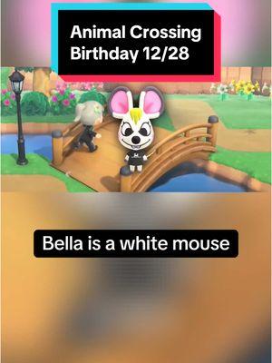 In Animal Crossing on December 28th, it’s Bella’s birthday! Happy birthday Bella! #animalcrossing #animalcrossingnewhorizons #animalcrossingswitch #switch #nintendo #nintendoswitch #switch2 #animalcrossingbirthday #December28th #December28 #Bella #animalcrossingBella #Bellaanimalcrossing #acBella #Bellaac #funfacts #didyouknow #animalfunfacts #mouse #mice #cute #cuteanimals #gaming #GamingOnTikTok #gamingonyoutube #birthday #happybirthday #cozygames #cozygaming #cozygamer