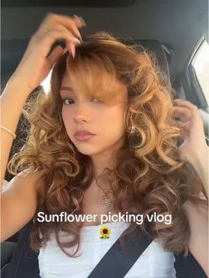 Tb to when we went sunflower picking! Really missing summer now 🥲🌼 #dayinthelife #sunflowerpicking #girlsday #Vlog 