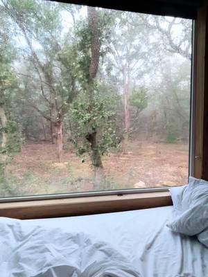 Rainy Texas morning #cozy #cozycabin #cabin #postcardcabins #wimberleytexas #hillcountry #rainyday 