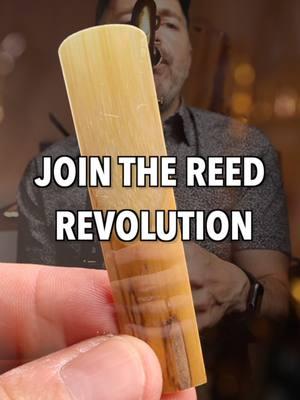 BetterSax Jazz Cut reeds are great for all popular music styles, deliver long lasting consistency, are made from premium, organically sourced French cane and come in plastic free packaging. Join the reed revolution. Visit bettersax.com for info on how to order. #saxophonereeds #saxophone #saxophone🎷 #sax #bettersax