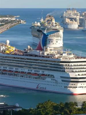 Casual Monday at Port of Miami 🚢🚢 #cruises #cruiseships #miami #portofmiami #timelapse 