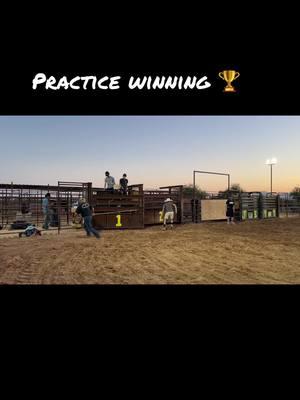 #bullridin #bullrider #azsunset #summertimeblues 