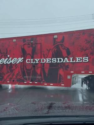 Here come the Clydesdales!  Excited to watch ECU battle NC State in the Military Bowl at the Navy Marine Corps Stadium! #clydesdale #ecu #ncstate #militarybowl #fyp #fypシ 