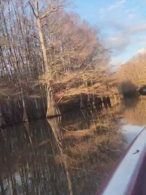 Christmas day fishing. #beautiful #greatday #fishing #lake #bassfishing #spinnerbait #largemouthbass #championboats #fyp #fypシ 