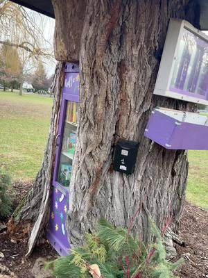 Little Free Library #littlefreelibrary #indiana #viaje #family 