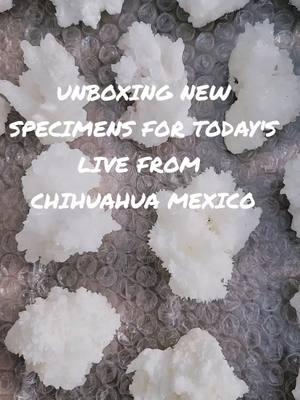 New Specimens from Chuhuahua Mexico for Today's Live Sale @4pm MST #dogtoothcalcite #aragonite #mexico #sinfulraven #fishtail #selenite #boutique #shop #specimen #raw #sparkles 