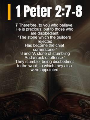 1 Peter 2:7-8 devotional #christiantiktok #exposition #bible #biblestudy #wordofgod #TrueFaith #repent #1peter #gospel #scripture #CountTheCost #LivingForChrist #bibleverse #sermon #christian #endtimes #devotional