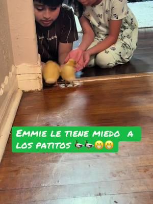 Ellos felices con sus patitos #🥰🥰🥰 #cuacua #🦆 