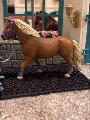 💜💜#schleich #stopmotionanimation #schleichhorses #horses #horseridinglesson #fyp #foryoupage 