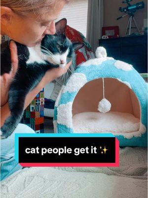 because, cats ✨ #catlover #cats #catsoftiktok #catbed #cloudcatbed #catmom #pet #catperson #lesurepet #pets #petbed #bedsure #blackcat #spotlightfinds #winterfinds #mademyyear #freshforwinter #tiktokshopnewyearnewaura #tiktokshoplastchance #tiktokshopyearendsale #catcave #indoorcat @Lesure Pet @LESURE.US.Shop @Bedsure @Bedsure Pet 