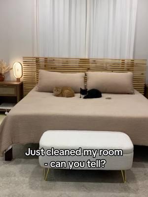 They always do this 😂 #catsoftiktok #cats #catmomlife #catsbelike #lifewithcats #tuxedocat #orangecat 