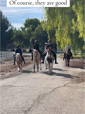 Raise independent riders 🙏🏼🐴🥰 #arabianhorses #kidsandhorses #horsebackriding #horsesoftiktok #horsecamp 