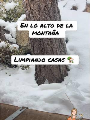 #heavelymontain #limpiandolacasa #🏡 #nevando #muchofrio #❄️ #🥶 #🏂 #🛁 #paratii #viral