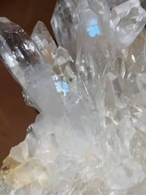 Glorious Golden Lemurian Queen from Colombia the Luminousness is just dreamy 💫  @Healing Spirit Sanctuary  #healingspiritsanctuary #lemurian #lemuria #quartz #golden #highvibrations #luminous #queenenergy #divine #crystaltok #crystalsoftiktok #quartzcrystal #amplifier #onthisday 