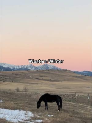 Cold but worth it #ranch #ranchlife #horse #western #montana #cowboy #sunset #dog