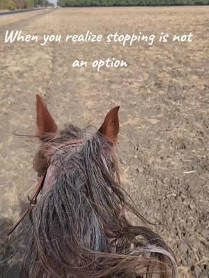 When the beast is let out there's no containing her 😂🐴 #horsefamily #trending #foryoupage❤️❤️ #fyp #fypシ #viraltiktok #viralvideo #cowgirlmom #roanhorses #strawberryroanmare 