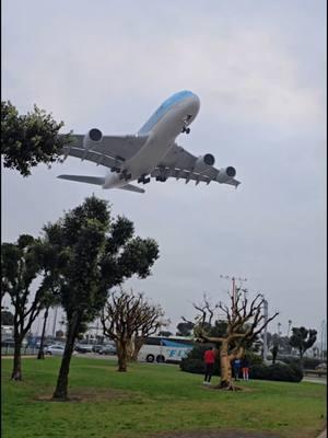 El avión más grande del mundo aterrizando en LAX. #aviation #airbus #airbusa380 #airplane #spotter #thingstodo #lax 