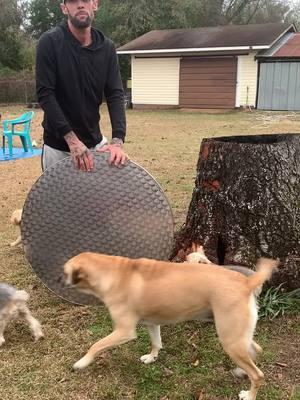 Diy Stump Table #rootfire #rootfireconcerns #stumpgrinder #safetytips #diytools #fyp #foryoupage #oshaapproved #treeservice #chainsaw#howtoremovestump #table #makeit #builtnotbought #yardwork #safetytips 